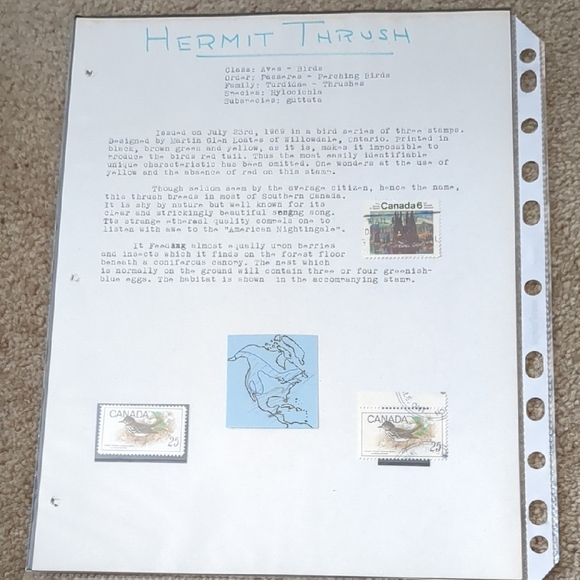 Hermit Thrush Home Design Stamp Set - Picture 1 of 4